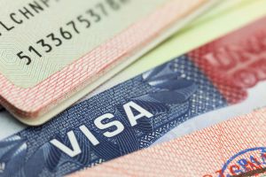 E-1 Visa Lawyer Explains How Much Trade You Really Need
