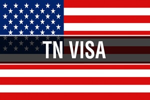 Entendiendo El Proceso De La Visa TN En Laredo